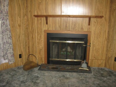 Wood-burning fireplace