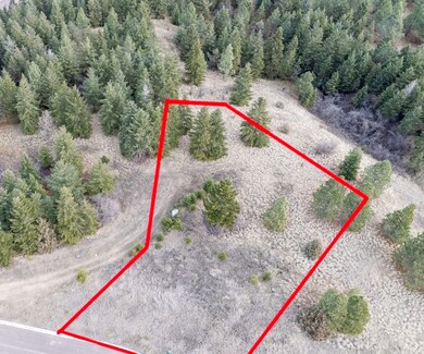 123 Southlake Crest, Polson, MT 59860 - photo 6