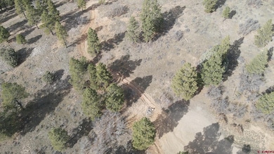 111 Tower Place, Pagosa Springs, CO 81147 - photo 3