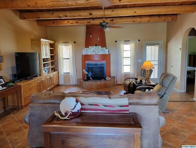 19 Briarwood Ln, Silver City, NM 88061 - photo 4