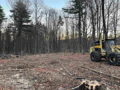 2-47 Old Amherst Rd, Mont Vernon, NH 03057 - photo 7