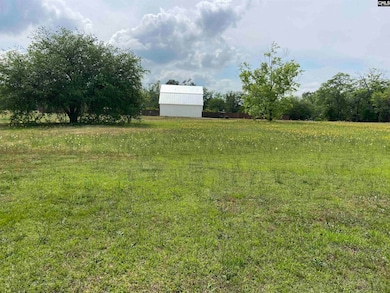 1317 Fair St, Camden, SC 29020 - photo 2