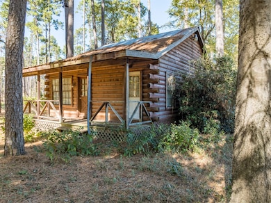 17151 Pintail Dr, Flint, TX 75762 - photo 4