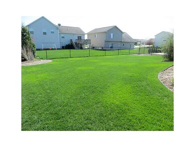 Yard.