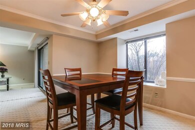 1 Mullingar Ct unit 302, Lutherville Timonium, MD 21093 - photo 6