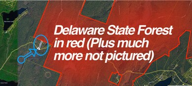 1113 Silver Lake Rd, Dingmans Ferry, PA 18328 - photo 3