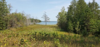 1979 S Point Brulee, Hessel, MI 49745 - photo 4