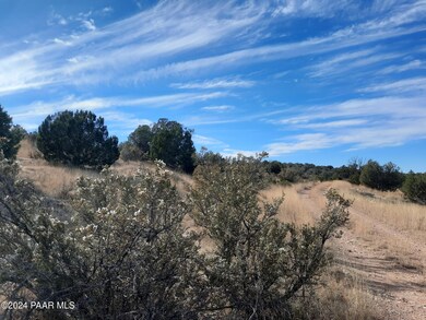 32563 Ancho Rd, Seligman, AZ 86337 - photo 5