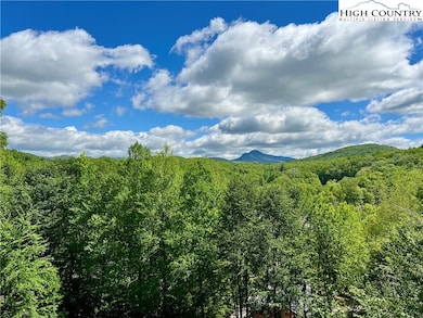 Grandfather Mountain View