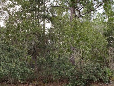 6185 W El Dorado Ln, Beverly Hills, FL 34465 - photo 2