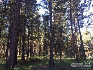 17033 Torrance, Bend, OR 97707 - photo 6