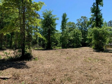TBD J Scott Dr unit Lot 78, Pineville, LA 71360 - photo 4