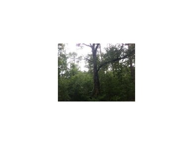 Photo. Lots of gorgeous hardwoods on lot