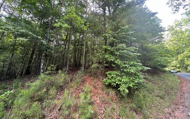 Additional View