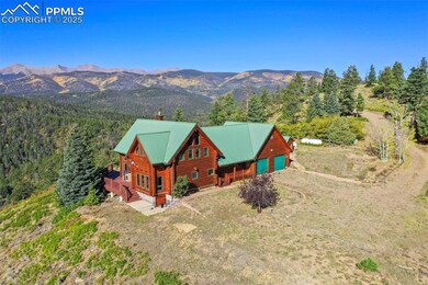 Bird's eye view with a wooded view and a mountain view