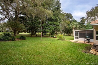 165 E Ireland Ct, Hernando, FL 34442 - photo 3
