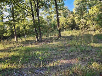 1071 Pleasant Run Rd, Mammoth Spring, AR 72554 - photo 4