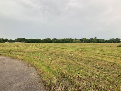 703 Damascus St, Rosenberg, TX 77471 - photo 3