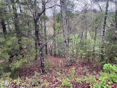 Lot 1 Mountain View Ln, Pigeon Forge, TN 37863 - photo 2