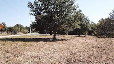 0 Keene Rd, Umatilla, FL 32784 - photo 3