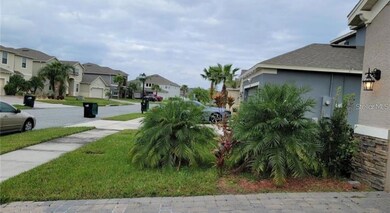 4025 Scarlet Branch Rd, Orlando, FL 32824 - photo 5