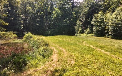 Lot #3 Borough Rd, Charlestown, NH 03603 - photo 7