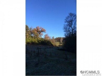 unlisted-address, Leicester, NC 28806 - photo 7