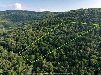 0 Broad Channel Rd unit KEY895476, Andes, NY 13731 - photo 4