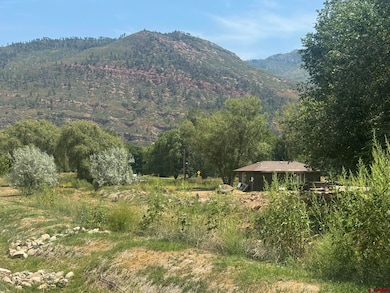 275 & 213 Cr 252 Aka Trimble Ln, Durango, CO 81301 - photo 3