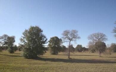 LOT71 Mandiba Dr, Lake City, FL 32024 - photo 2