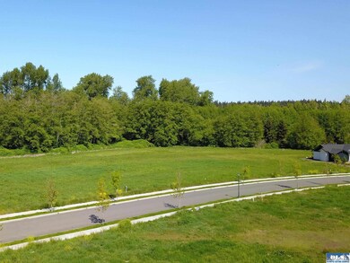 371 Broadmoor St, Sequim, WA 98382 - photo 7