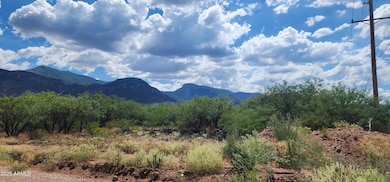 TBD E Ramsey Canyon Rd D -- unit E, Hereford, AZ 85615 - photo 4