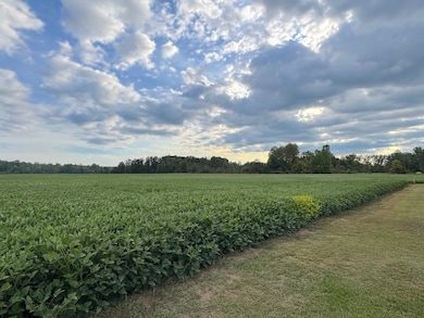 4176 Estey Rd, Rhodes, MI 48652 - photo 5