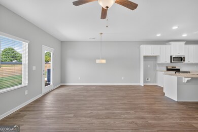 2817 Lillian Ln, Villa Rica, GA 30180 - photo 6