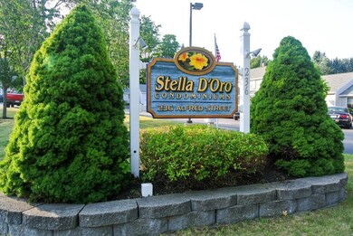 236 Alfred St unit 4, Biddeford, ME 04005 - photo 5