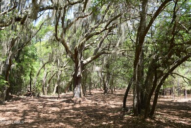 Tbd Edgewater Downs, Beaufort, SC 29907 - photo 5