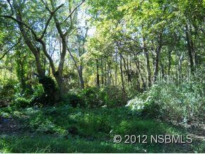 4615 Cedar Rd, New Smyrna Beach, FL 32168 - photo 6