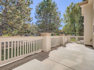 890 Appleby Place, Castle Rock, CO 80104 - photo 4