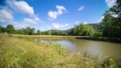 12808 Ohio 348, Otway, OH 45657 - photo 4