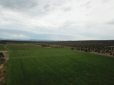 DJI_0122
