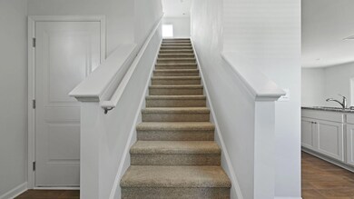 17-web-or-mls-550A0586