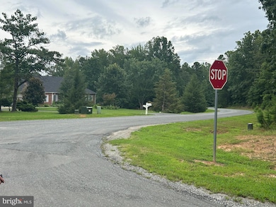 0 Hensley Rd unit VALA2008616, Mineral, VA 23117 - photo 3