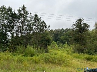 1 Rolfe Hwy, Dendron, VA 23839 - photo 2