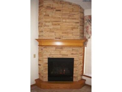 Stacked stone gas fireplace