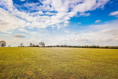 20 AC County Road 3104, Gladewater, TX 75647 - photo 5