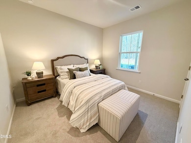 2029 Trident Maple Ln, Chapel Hill, NC 27517 - photo 4