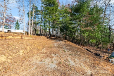 31 Cane Creek Cir unit 21, Fairview, NC 28730 - photo 6