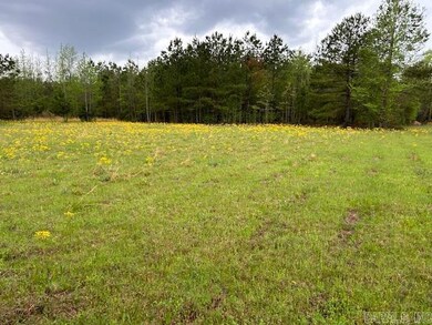 2285 Hempstead Road 16, Blevins, AR 71825 - photo 7