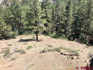 29736 State Hwy 151, Chimney Rock, CO 81147 - photo 6