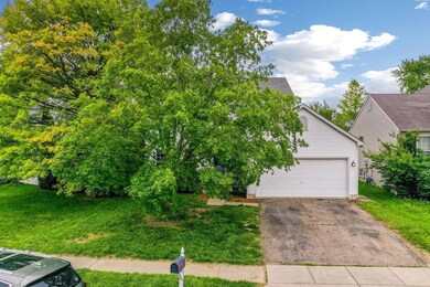 2-web-or-mls-DJI_0684